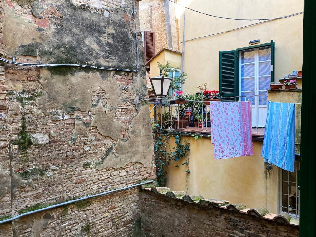 Il Mondo Di Claire - Cozy And Charm Сієна Екстер'єр фото